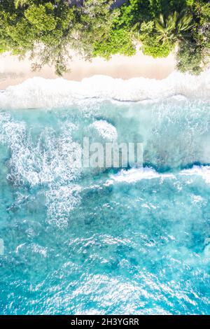 Seychelles Seychelles Takamaka spiaggia Mahe ritratto paradiso oceano drone foto aerea Foto Stock