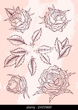 Set vettoriale di rose e foglie disegnate a mano. Contorno di Borgogna su sfondo rosa. Illustrazione Vettoriale
