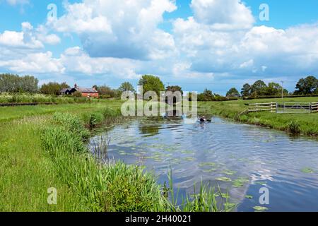 Canoa sul fiume Rother in una giornata di sole nel mese di giugno, Kent, Regno Unito Foto Stock