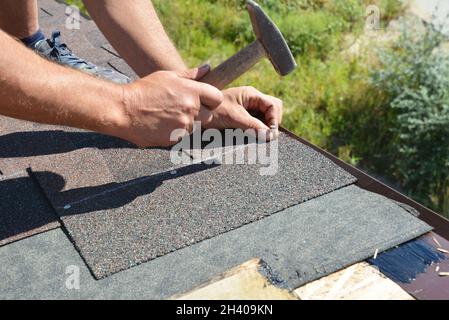 Appaltatore di coperture installazione di tegole, capannoli di asfalto con un martello e chiodi. Costruzione di tetti. Foto Stock