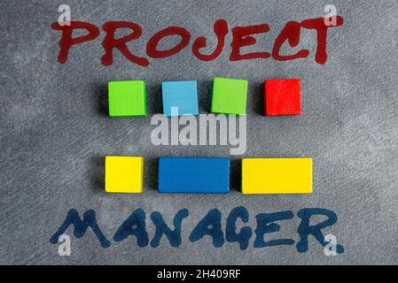 Scrittura visualizzazione testo Project Manager. Concetto che significa responsabile generale della pianificazione e dell'esecuzione di un progetto Stack of Samp Foto Stock