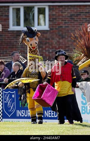 Sutton, Regno Unito. 30 Ott 2021. Sutton United mascotte Jenny the Giraffe in Halloween Costume raccolta per beneficenza durante la partita EFL Sky Bet League 2 tra Sutton United e Walsall a Gander Green Lane, Sutton, Inghilterra, il 30 ottobre 2021. Foto di Carlton Myrie. Solo per uso editoriale, licenza richiesta per uso commerciale. Nessun utilizzo nelle scommesse, nei giochi o nelle pubblicazioni di un singolo club/campionato/giocatore. Credit: UK Sports Pics Ltd/Alamy Live News Foto Stock