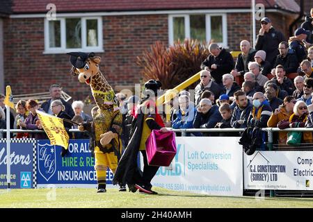 Sutton, Regno Unito. 30 Ott 2021. Sutton United mascotte Jenny the Giraffe in Halloween vestito raccogliendo denaro per beneficenza in su durante la partita EFL Sky Bet League 2 tra Sutton United e Walsall a Gander Green Lane, Sutton, Inghilterra il 30 ottobre 2021. Foto di Carlton Myrie. Solo per uso editoriale, licenza richiesta per uso commerciale. Nessun utilizzo nelle scommesse, nei giochi o nelle pubblicazioni di un singolo club/campionato/giocatore. Credit: UK Sports Pics Ltd/Alamy Live News Foto Stock