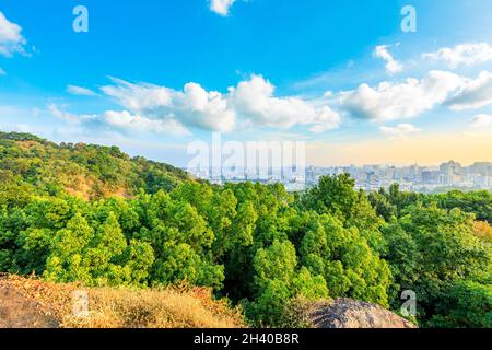 Montagne verdi e skyline della città di Hangzhou. Foto Stock