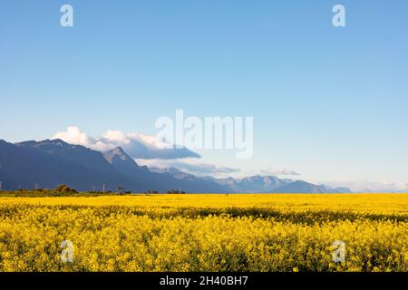 Vista generale del paesaggio di campagna con cielo nuvoloso Foto Stock
