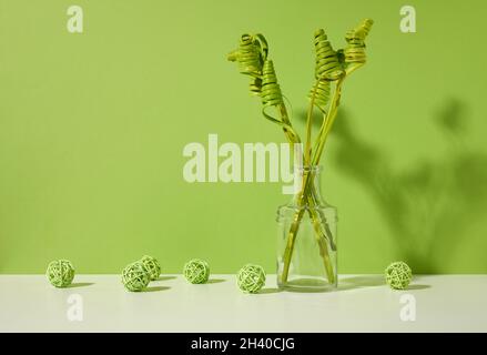 Vaso trasparente in vetro con fiori secchi verdi su un tavolo bianco, sfondo verde Foto Stock