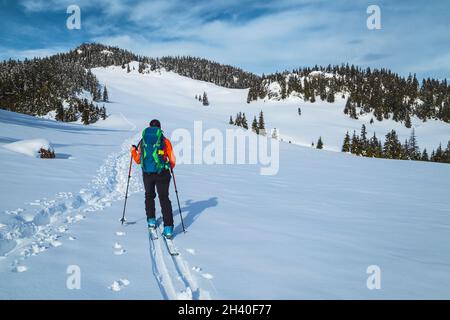 Sci di fondo sulla collina innevata. Donna sportiva con zaino, sci alpinismo nella neve profonda e godere del paesaggio invernale, Carpazi, Tr Foto Stock