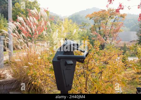 Una rana di metallo che gioca in giardino in autunno Foto Stock