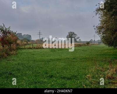 Un pilone ad alta tensione in natura Foto Stock