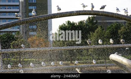 Parque de la Diagonal Mar en Barcelona, Catalunya, España, Europa Foto Stock