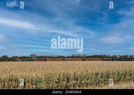 Francia, Somme (80), Saint Valery sur Somme, le Chemin de Fer de la Baie de Somme, Progression sur la digue de la baie Foto Stock