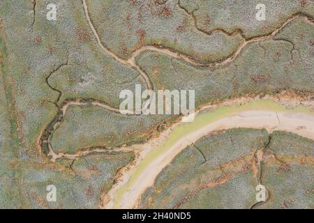 Les mollières (Prés salé) du Cap Hornu à marée basse (vue aérienne), Francia, Somme (80), Baie de Somme, Cap Hornu, Saint-Valery-sur-Somme, Foto Stock