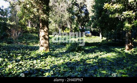 Giardini del Labirinto di Horta, Barcellona, Catalunya, Spagna, Europa Foto Stock