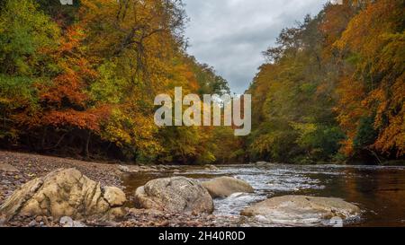 Allen Banks in autunno Foto Stock