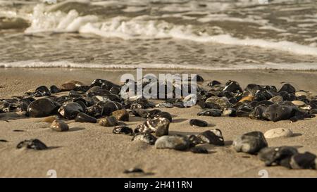 sulla spiaggia del mar baltico con molti flints, oltre alle onde che rotolano sulla spiaggia Foto Stock