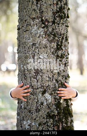 Le mani del bambino abbracciano un albero Foto Stock