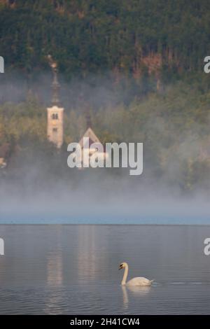 Lago di Bled nel Mist Foto Stock