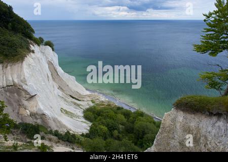 Le scogliere di Mons Klint Foto Stock