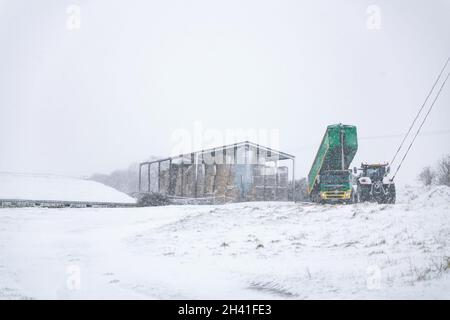 Woodbridge Suffolk UK Febbraio 07 2021: Lavoratori agricoli che cercano di prendere una consegna mentre combattono contro una pesante tempesta di neve e la bizzarda Foto Stock