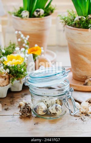 Uova di quaglia in vaso di vetro. Fiori primaverili e piante sullo sfondo. Foto Stock