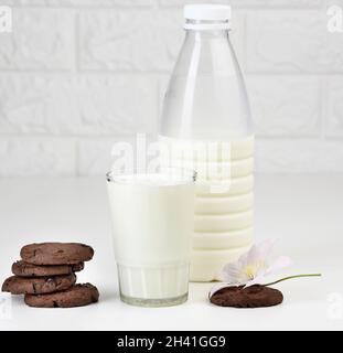 Una tazza di vetro piena di latte e una bottiglia di plastica trasparente con latte, accanto a una pila di biscotti rotondi con scaglie di cioccolato su un tavolo bianco Foto Stock