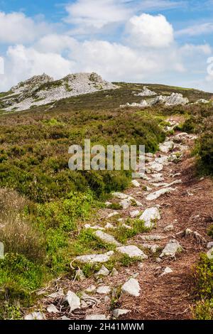 Il percorso Shropshire Way lungo i affioramenti rocciosi di quarzite sulla cima della collina di Stiperstones. Shropshire, Inghilterra, Regno Unito, Gran Bretagna. Foto Stock