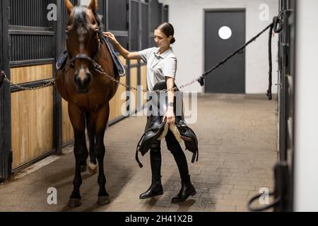 Il cavaliere femminile mette le munizioni sul suo cavallo in stalla Foto Stock