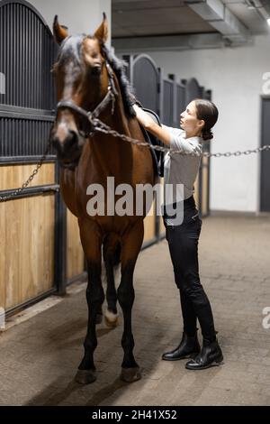 Il cavaliere femminile mette le munizioni sul suo cavallo in stalla Foto Stock