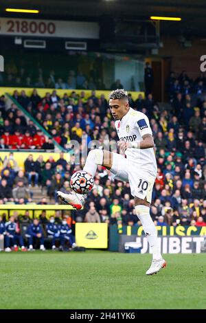 Norwich, Regno Unito. 31 ottobre 2021. Raphinha di Leeds ha Unito la palla durante la partita della Premier League tra Norwich City e Leeds United a Carrow Road il 31 ottobre 2021 a Norwich, Inghilterra. (Foto di Mick Kearns/phcimages.com) Credit: PHC Images/Alamy Live News Foto Stock