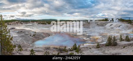 La zona dei pod di fango fumante nel famoso parco nazionale di Yellowstone, Stati Uniti Foto Stock