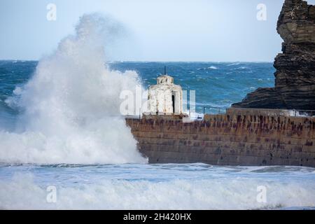 Portreath, Cornovaglia, Regno Unito. 31 ottobre 2021. Gli escursionisti di cani erano fuori per una passeggiata mattutina sulla spiaggia in alta marea a Portreath, Cornovaglia, mentre i surfisti hanno fatto la maggior parte del mare ruvido e grandi onde che si infrangono lungo la parete del porto. Il cielo era blu con sole glorioso e 13C, la previsione è per il tempo umido per i prossimi giorni. Credit: Keith Larby/Alamy Live News Foto Stock