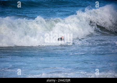 Portreath, Cornovaglia, Regno Unito. 31 ottobre 2021. Gli escursionisti di cani erano fuori per una passeggiata mattutina sulla spiaggia in alta marea a Portreath, Cornovaglia, mentre i surfisti hanno fatto la maggior parte del mare ruvido e grandi onde che si infrangono lungo la parete del porto. Il cielo era blu con sole glorioso e 13C, la previsione è per il tempo umido per i prossimi giorni. Credit: Keith Larby/Alamy Live News Foto Stock