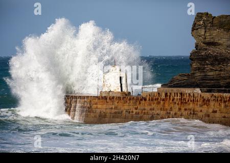 Portreath, Cornovaglia, Regno Unito. 31 ottobre 2021. Gli escursionisti di cani erano fuori per una passeggiata mattutina sulla spiaggia in alta marea a Portreath, Cornovaglia, mentre i surfisti hanno fatto la maggior parte del mare ruvido e grandi onde che si infrangono lungo la parete del porto. Il cielo era blu con sole glorioso e 13C, la previsione è per il tempo umido per i prossimi giorni. Credit: Keith Larby/Alamy Live News Foto Stock