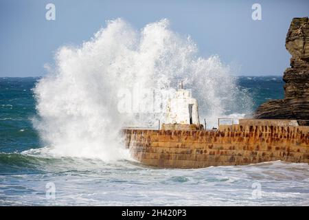 Portreath, Cornovaglia, Regno Unito. 31 ottobre 2021. Gli escursionisti di cani erano fuori per una passeggiata mattutina sulla spiaggia in alta marea a Portreath, Cornovaglia, mentre i surfisti hanno fatto la maggior parte del mare ruvido e grandi onde che si infrangono lungo la parete del porto. Il cielo era blu con sole glorioso e 13C, la previsione è per il tempo umido per i prossimi giorni. Credit: Keith Larby/Alamy Live News Foto Stock