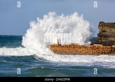 Portreath, Cornovaglia, Regno Unito. 31 ottobre 2021. Gli escursionisti di cani erano fuori per una passeggiata mattutina sulla spiaggia in alta marea a Portreath, Cornovaglia, mentre i surfisti hanno fatto la maggior parte del mare ruvido e grandi onde che si infrangono lungo la parete del porto. Il cielo era blu con sole glorioso e 13C, la previsione è per il tempo umido per i prossimi giorni. Credit: Keith Larby/Alamy Live News Foto Stock