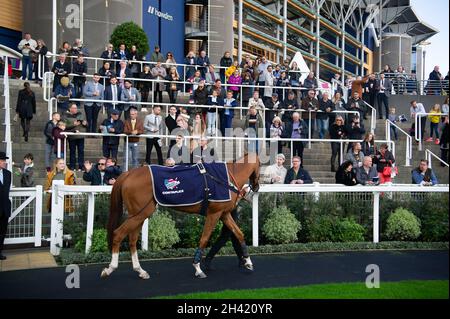 Ascot, Berkshire, Regno Unito. 30 Ottobre 2021. Oggi è stata una giornata intensa all'ippodromo di Ascot per la prima stagione dei salti. Le famiglie hanno anche apprezzato il funfair e le attività di Halloween per i bambini. Credit: Maureen McLean/Alamy Foto Stock