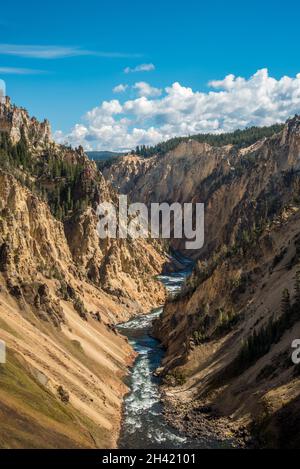 Fiume che scorre attraverso il famoso Grand Canyon del Yellowstone, USA Foto Stock