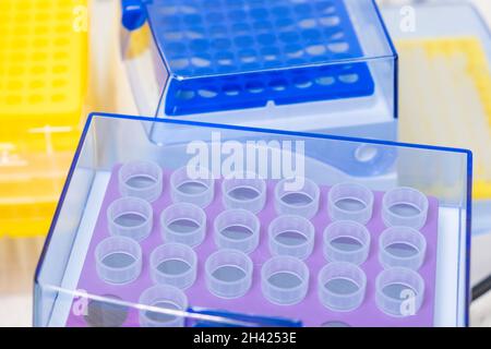 Puntali per pipette per pipette automatiche nella scatola per puntali per analisi chimiche e microbiologiche. Foto Stock