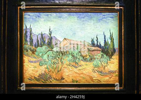 Un artwok intitolato 'Cabanes de bois parmi les oliviers et cyprès' di Vincent van Gogh in mostra durante la 'The Cox Collection: The Story of Impression Foto Stock