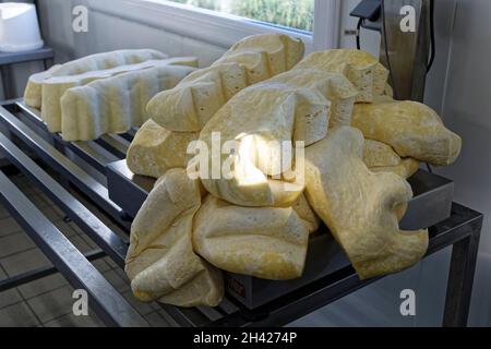 Saint Etienne-du-Monteil, Francia. 27 luglio, 2021.produzione di formaggio Salers tradizione con latte da Salers razza mucche presso la fattoria Galvaing. Foto Stock