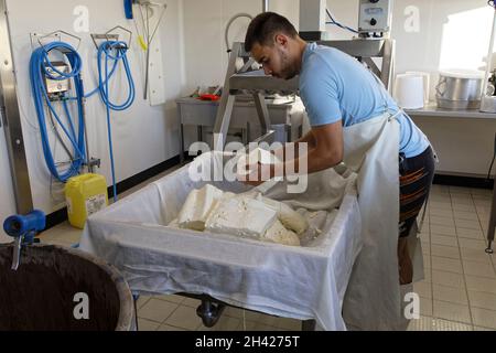 Saint Etienne-du-Monteil, Francia. 27 luglio, 2021.produzione di formaggio Salers tradizione con latte da Salers razza mucche presso la fattoria Galvaing. Foto Stock