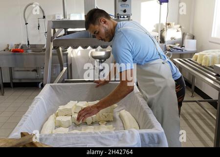 Saint Etienne-du-Monteil, Francia. 27 luglio, 2021.produzione di formaggio Salers tradizione con latte da Salers razza mucche presso la fattoria Galvaing. Foto Stock