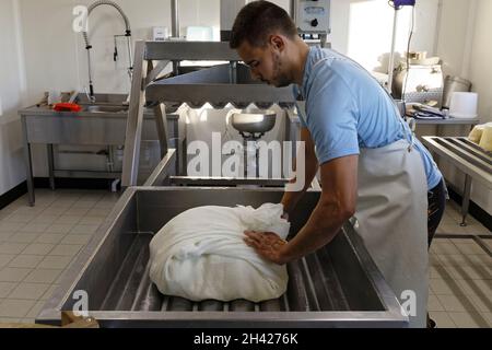 Saint Etienne-du-Monteil, Francia. 27 luglio, 2021.produzione di formaggio Salers tradizione con latte da Salers razza mucche presso la fattoria Galvaing. Foto Stock