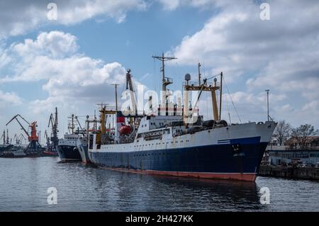 Navi nel porto commerciale sul fiume Pregolya nella città di Kaliningrad, Russia. Vista frontale. Foto Stock