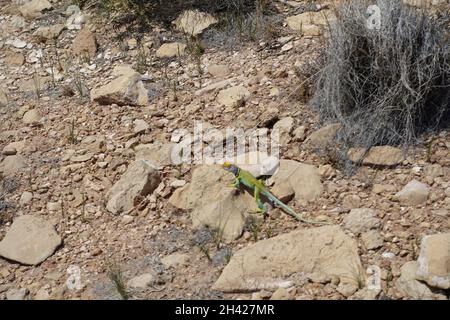 Le aree non sviluppate dell'ovest offrono ampie opportunità ricreative Foto Stock