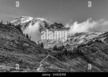 Vista sul magnifico Monte Rainier da Paradise Vista Trail, USA Foto Stock