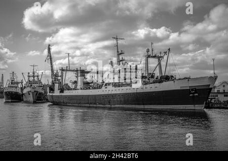 Navi nel porto commerciale sul fiume Pregolya nella città di Kaliningrad, Russia. Vista laterale. Bianco e nero. Foto Stock