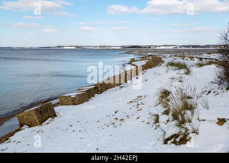 Trappole cisterna in cemento innevate lungo la costa britannica a Suffolk. Resti delle difese alleate per proteggere l'Inghilterra da un'invasione tedesca Foto Stock