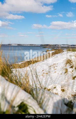 Trappole cisterna in cemento innevate lungo la costa britannica a Suffolk. Resti delle difese alleate per proteggere l'Inghilterra da un'invasione tedesca Foto Stock