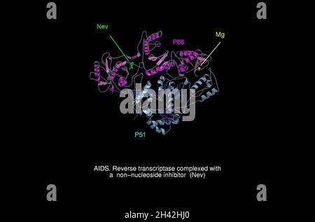 AIDS, complesso transcriptasi inversa/Nev Foto Stock